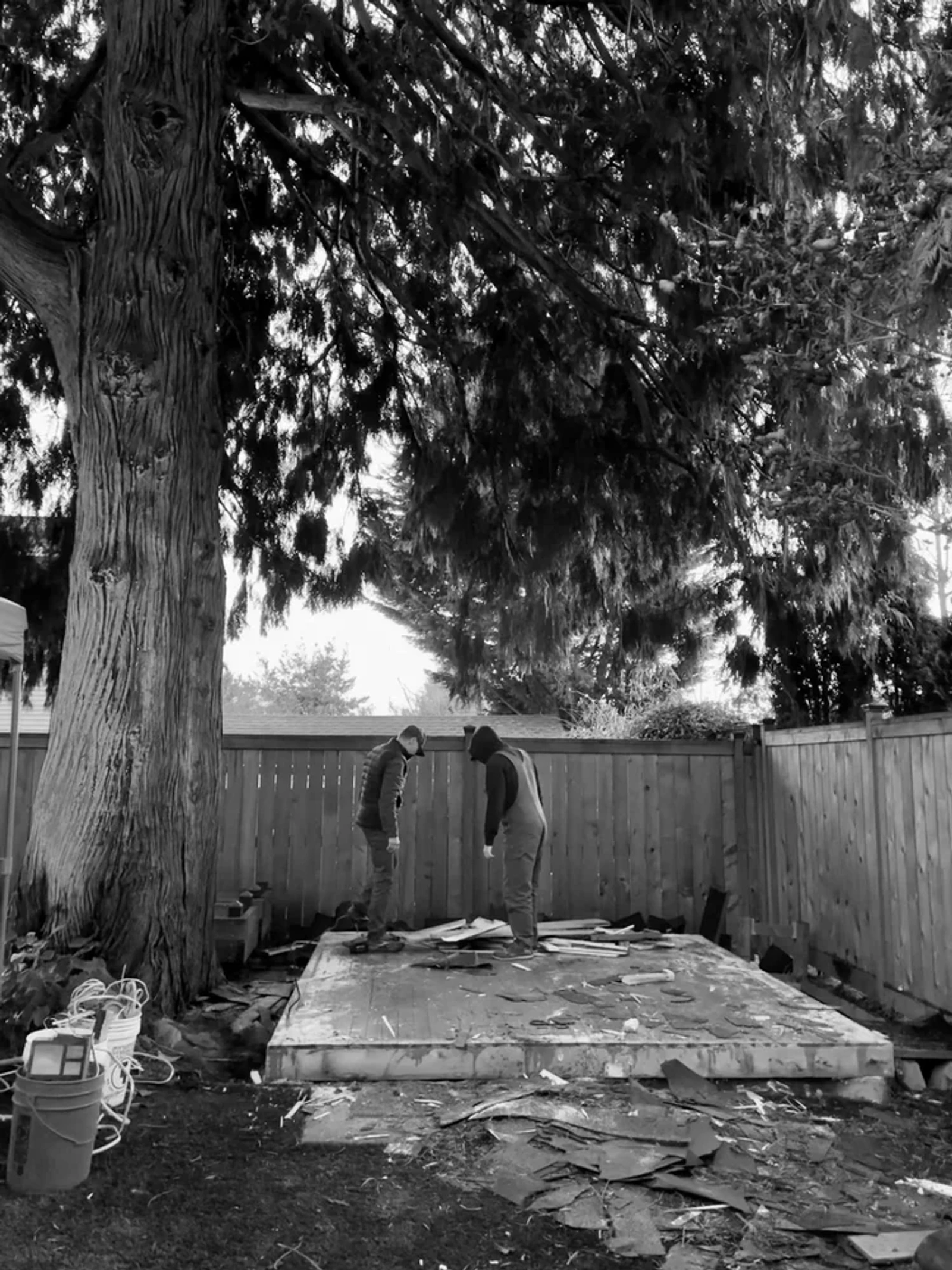 A image of the construction of he shed_she shed in Seatlle, WA