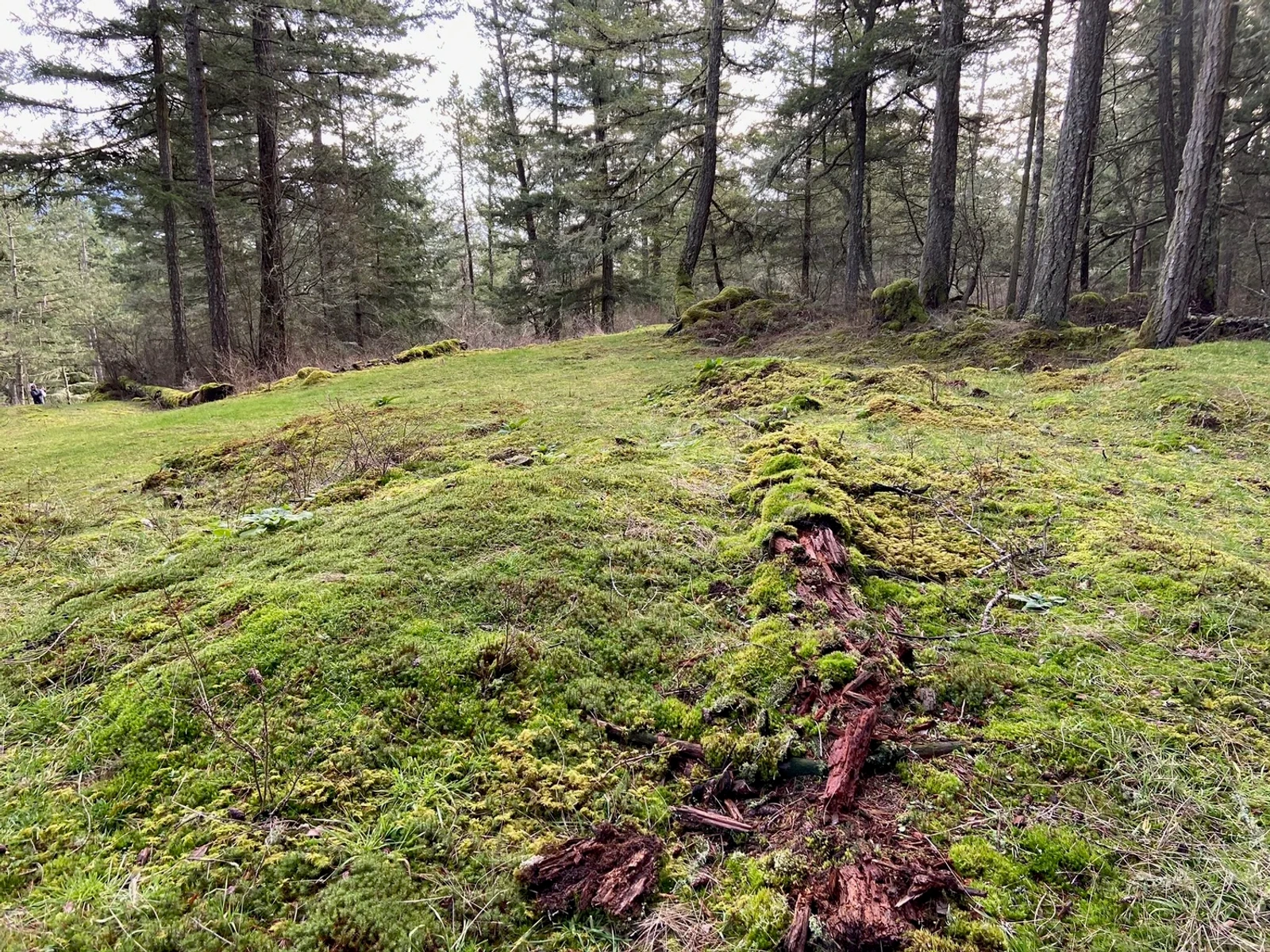 The landscape around Orcas Island, WA