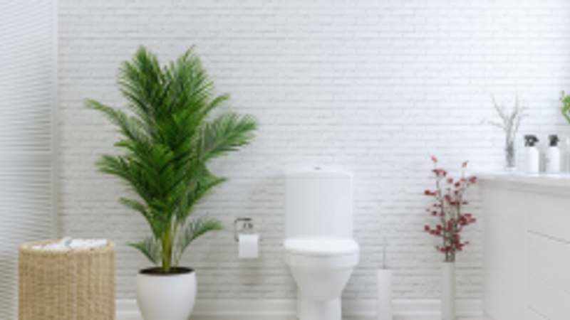 toilet in the north west corner