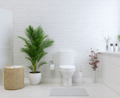 toilet in the north west corner
