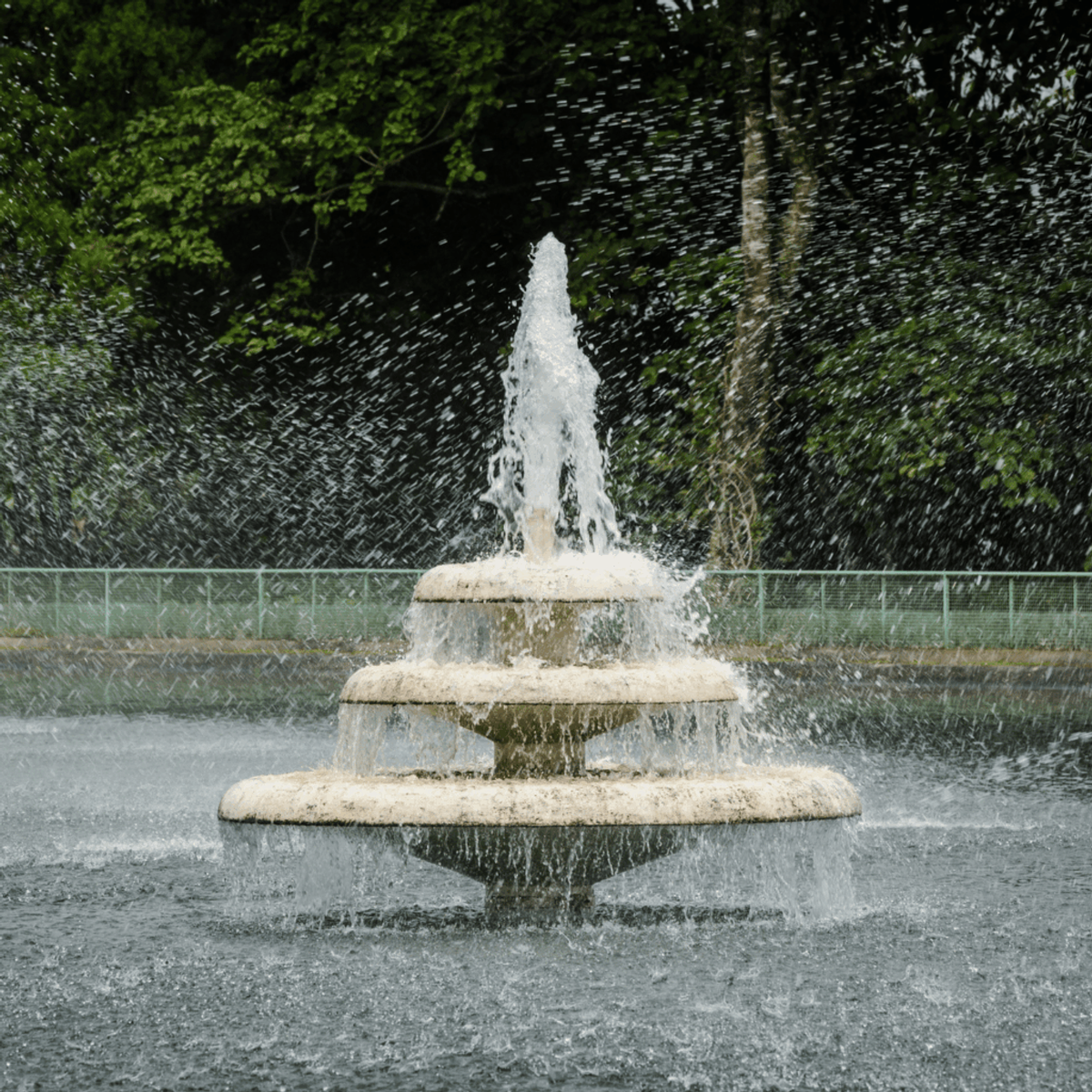 floral fountain