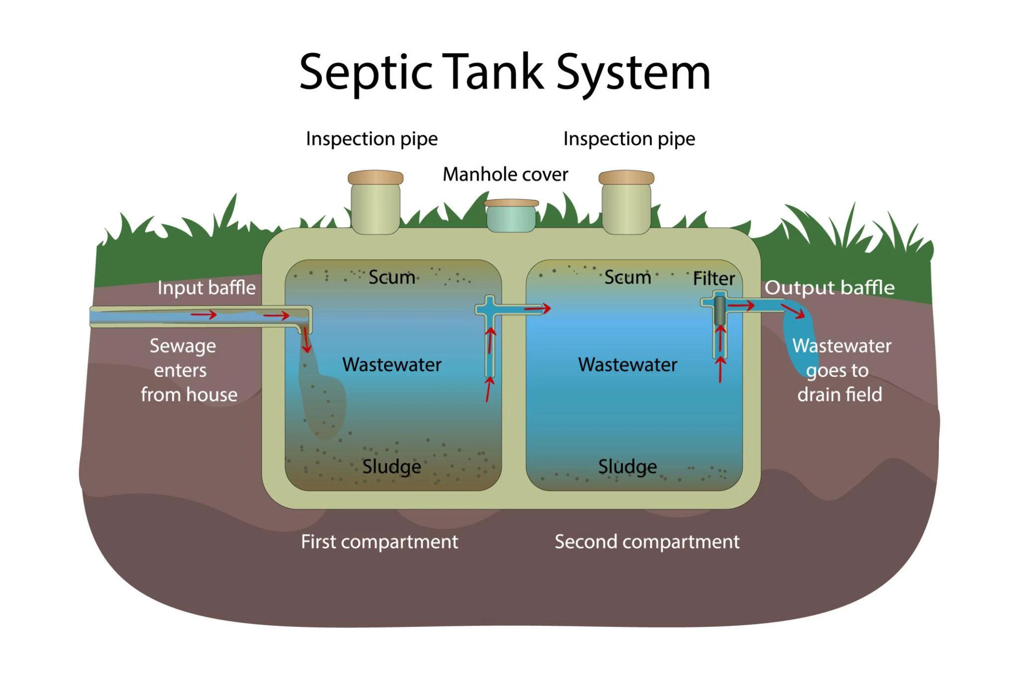 Illustration showing how baffle walls regulate wastewater flow, separate solids, and allow treated effluent to exit a septic tank.