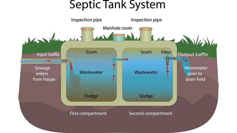 Illustration showing how baffle walls regulate wastewater flow, separate solids, and allow treated effluent to exit a septic tank.