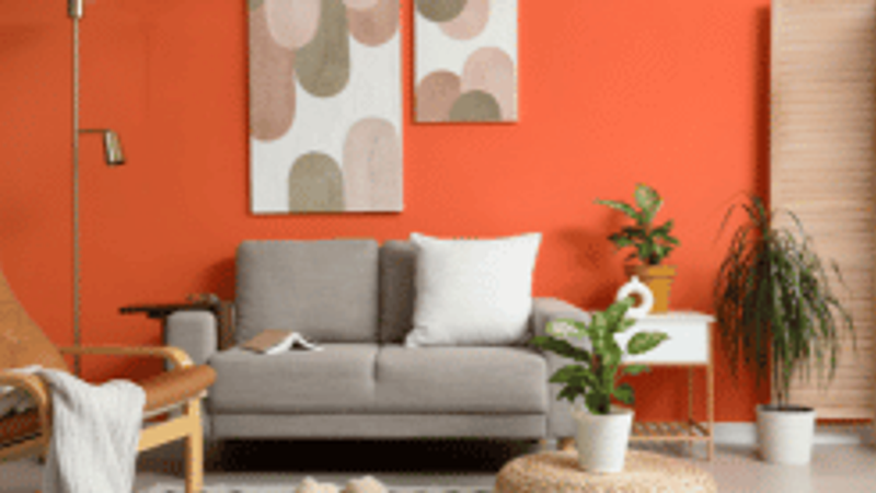 Interior Design Color Combinations