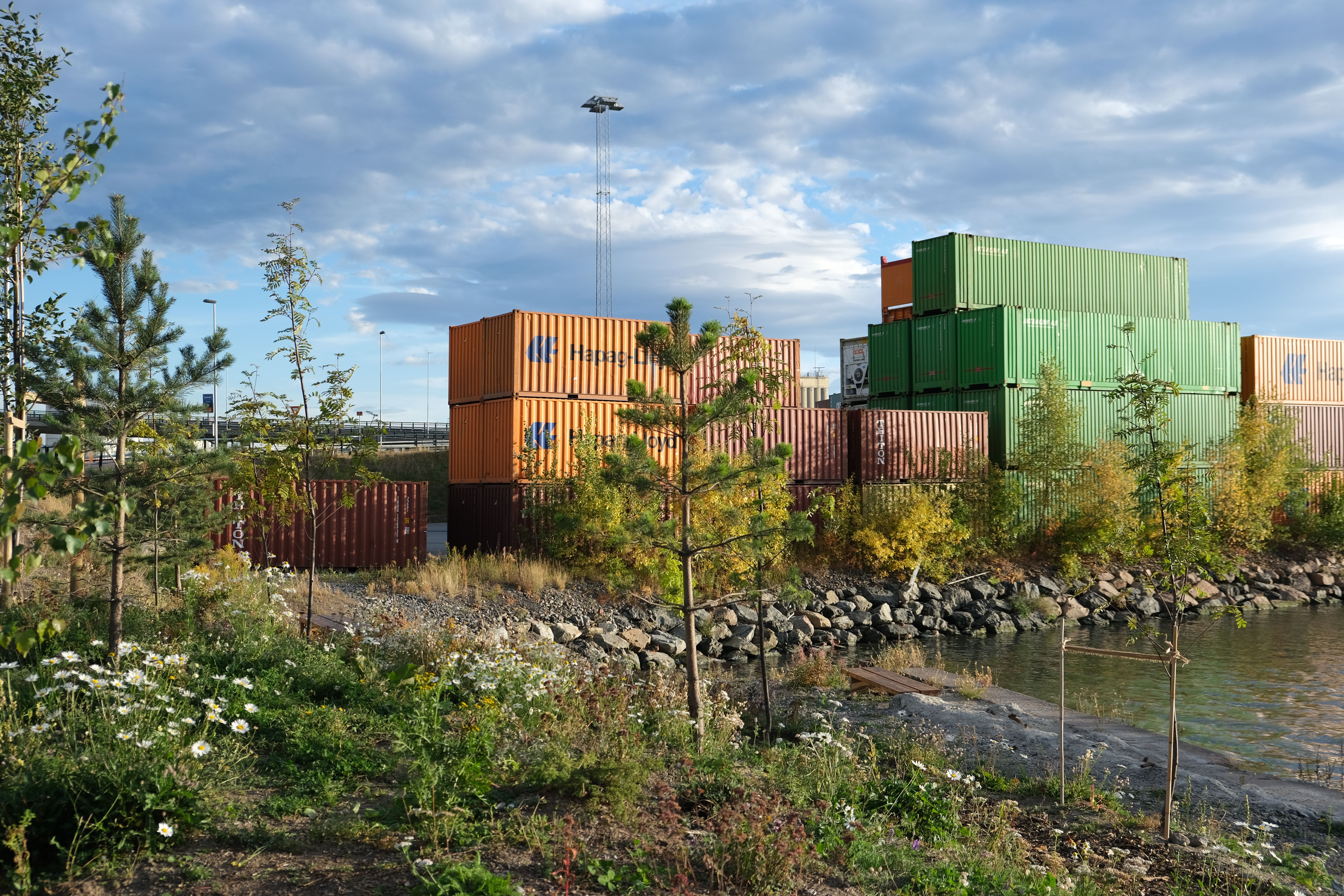 2021 - Tørkesommer, men vegetasjonen klarer seg fint , stier etableres