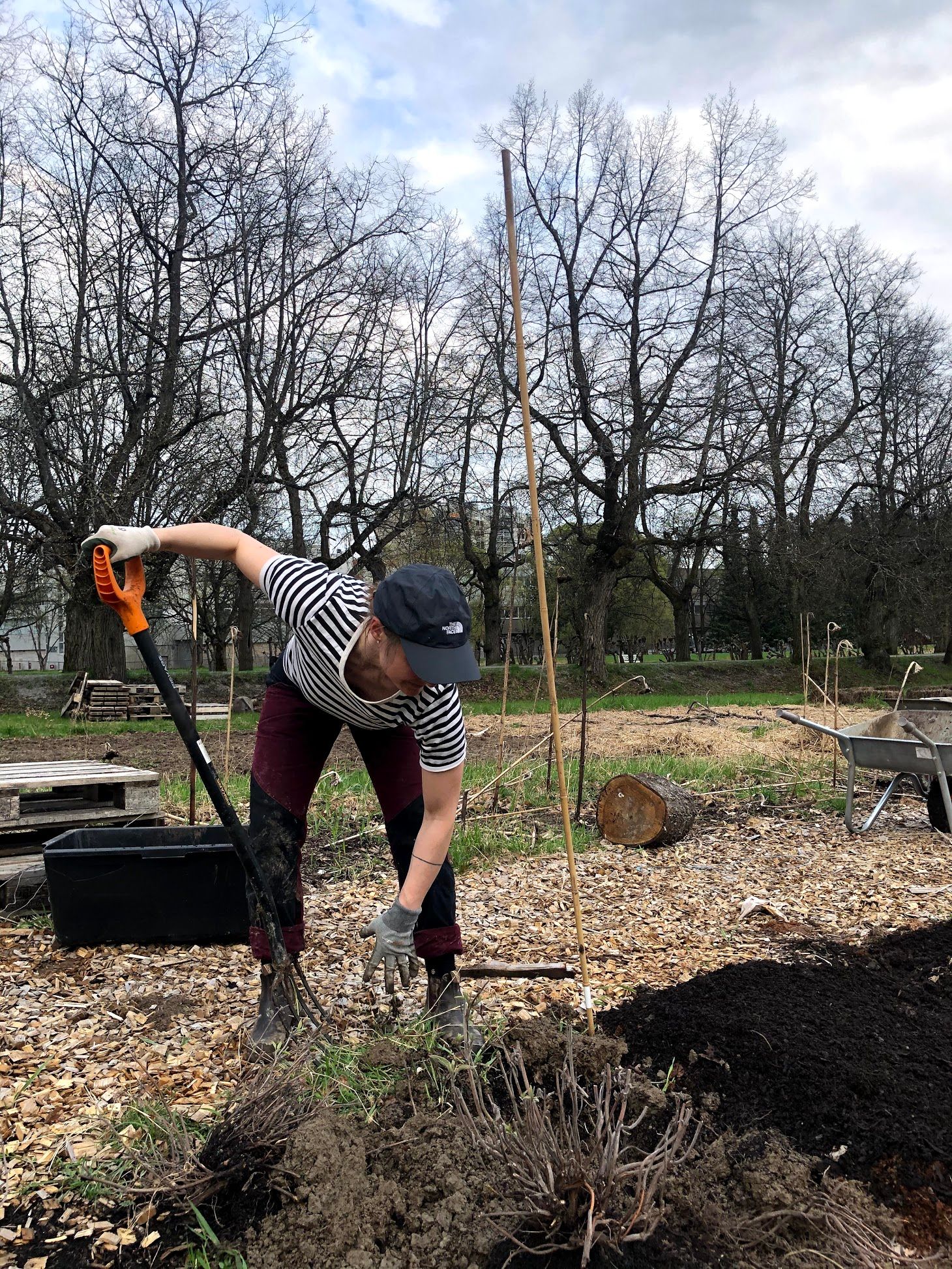 An image of a member