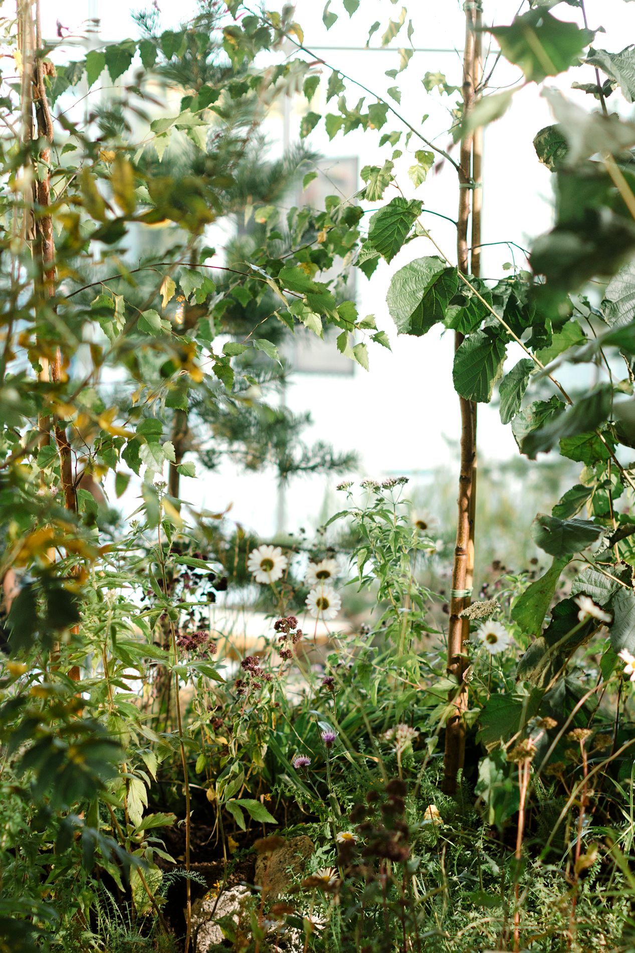 Øya besto av norske naturplanter fra skog og kystlandskap