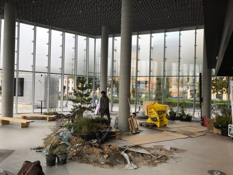 Planter og masser blir ryddet ut av Deichmanske hovedbibliotek