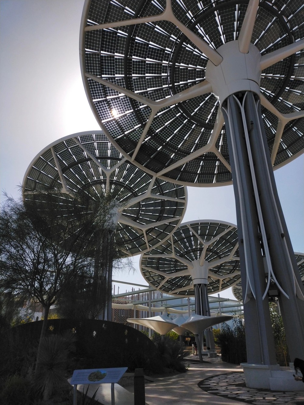 Tracker solar panels