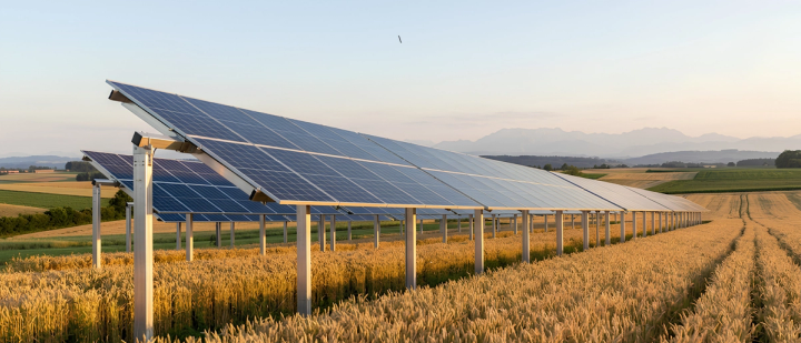 Germany Agri-PV 2026: What Solar EPCs Need to Know