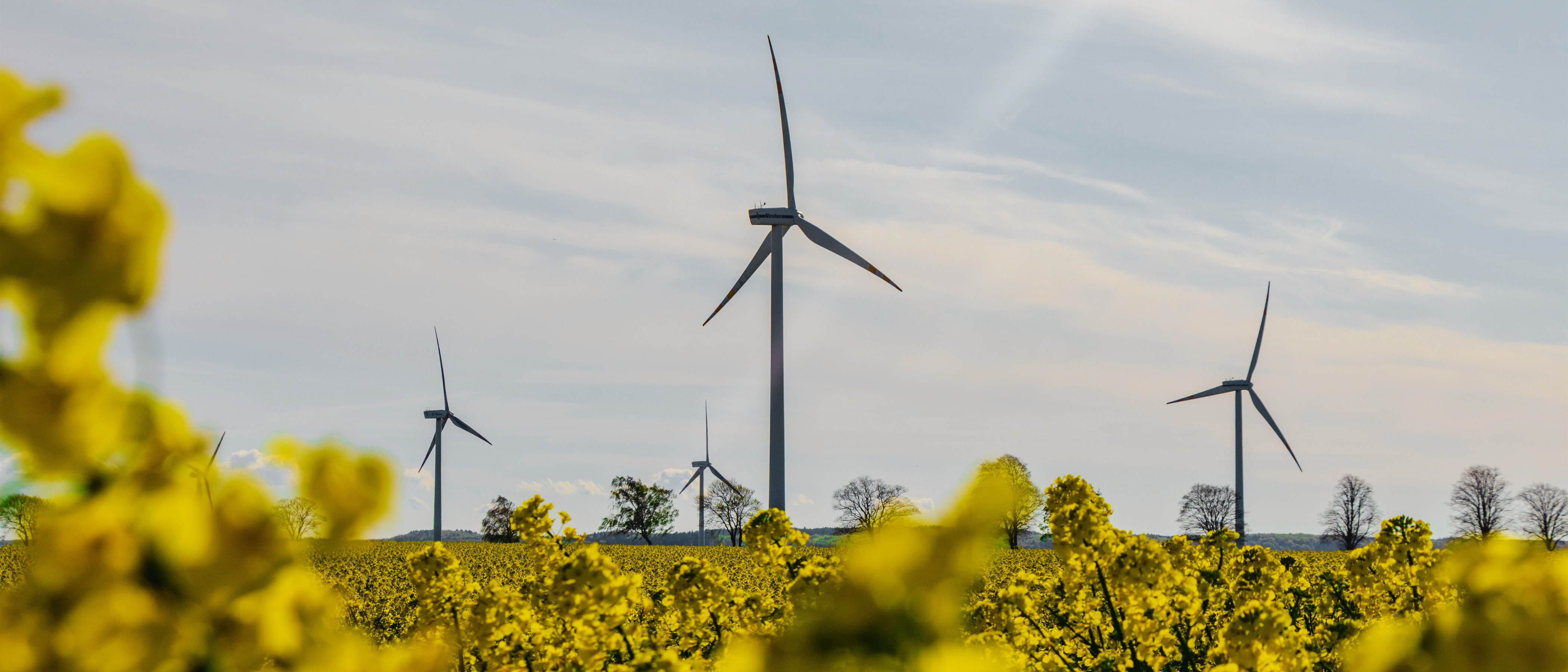 How to Survey and Design a Wind Solar Hybrid Site