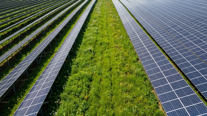 Solar O&M Is Now a Serious Business — Here Is How EPCs Can Build One.