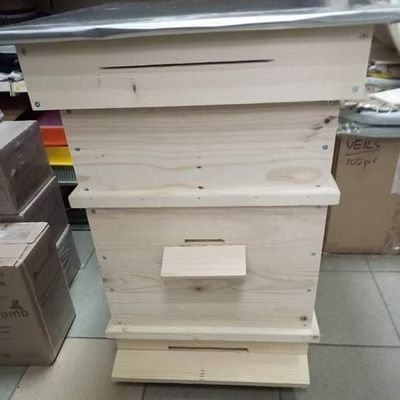 ПЧЕЛНИ КОШЕРИ  ДБ