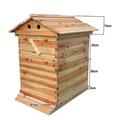 Кошер хоби тип Flow Hive 2