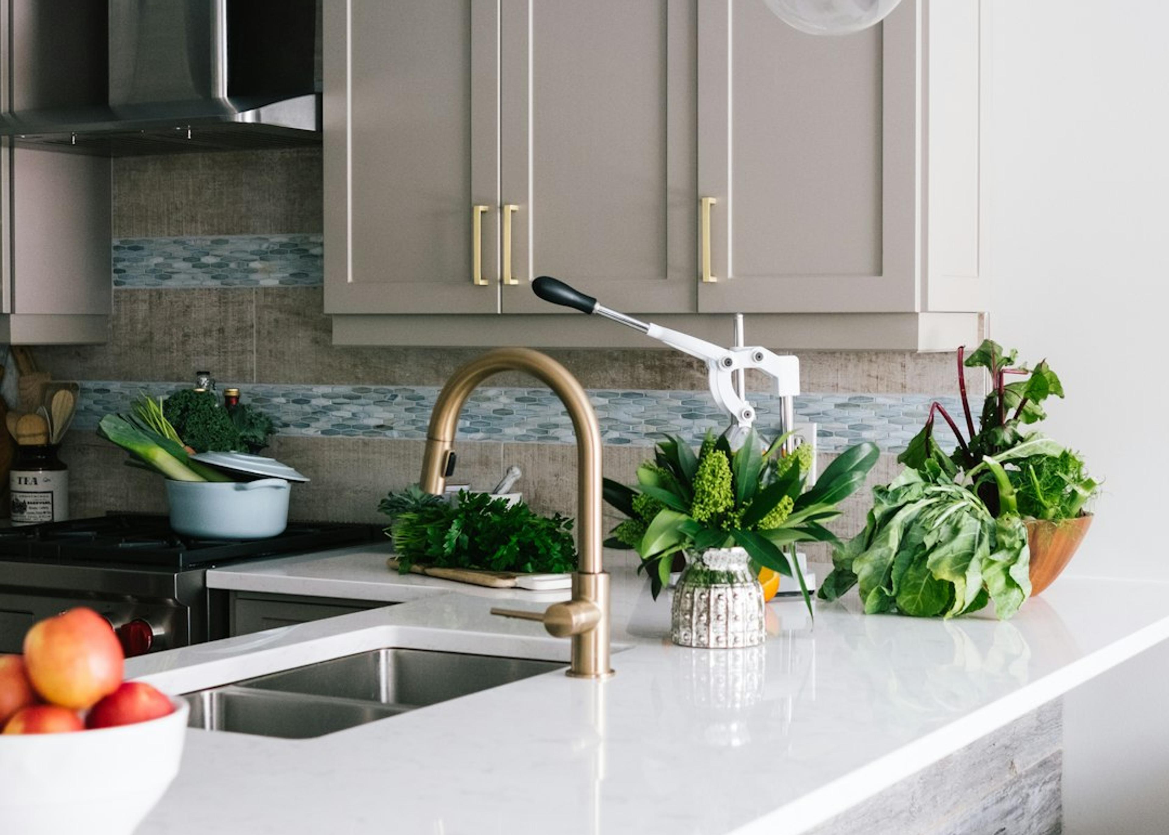 Design consultation in a remodeled greige shaker kitchen