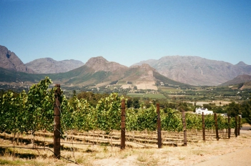 Full-Day Cape Winelands Experience