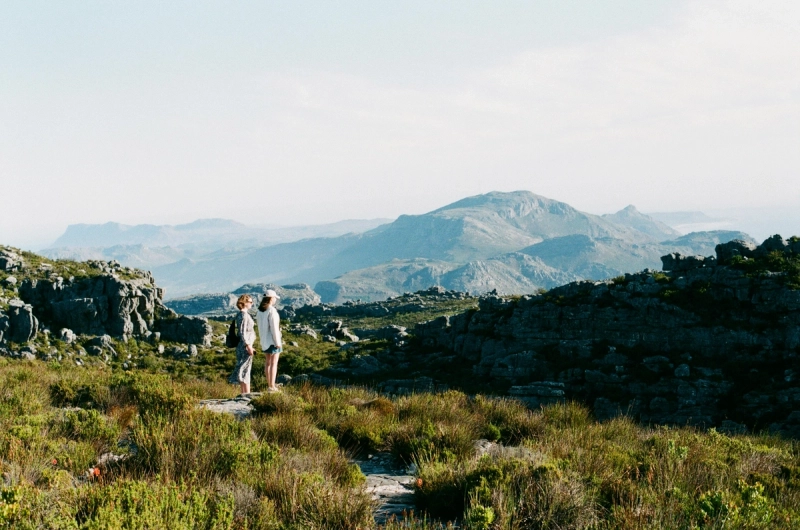 Mountain to Sea Trail