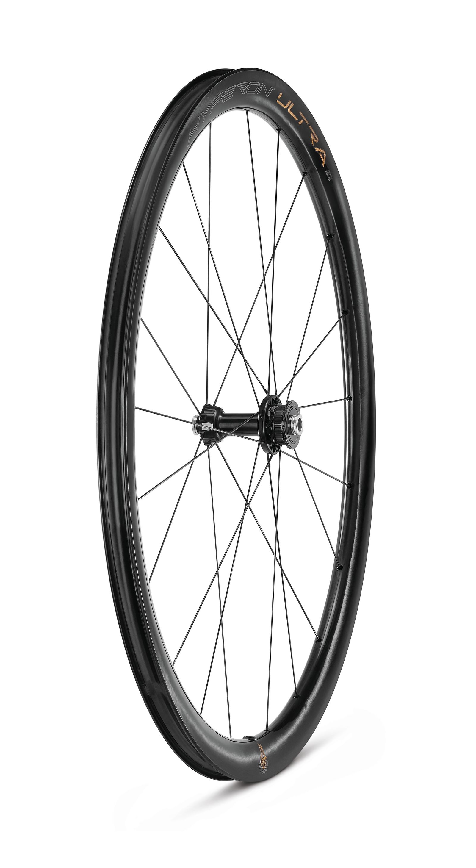 Ruote Space Carbon Ws31 Spacecarbon Ruote WS ROAD DT350 SP