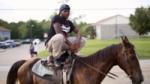 hale county