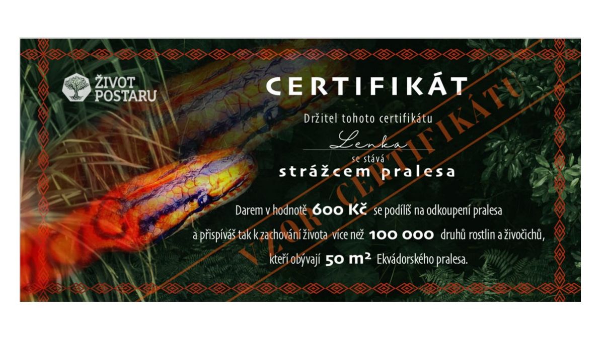 Gift certificate, CZK 600