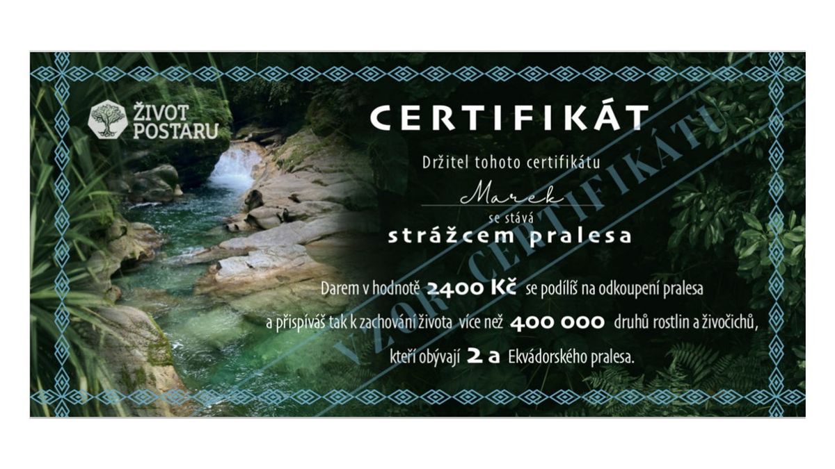 Gift certificate, CZK 2,400