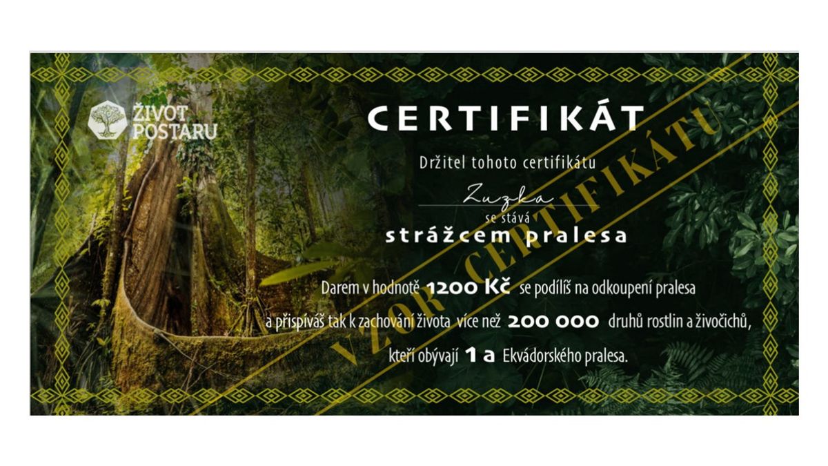 Gift certificate, CZK 1,200