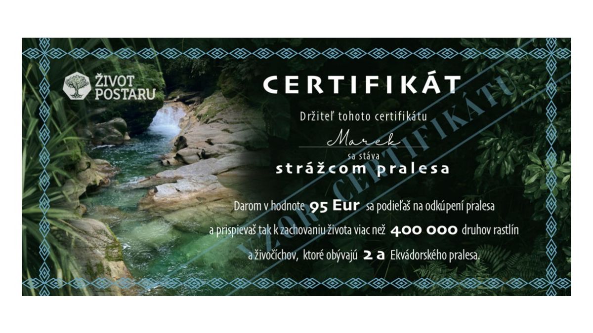 Gift certificate, €95 (Slovak)