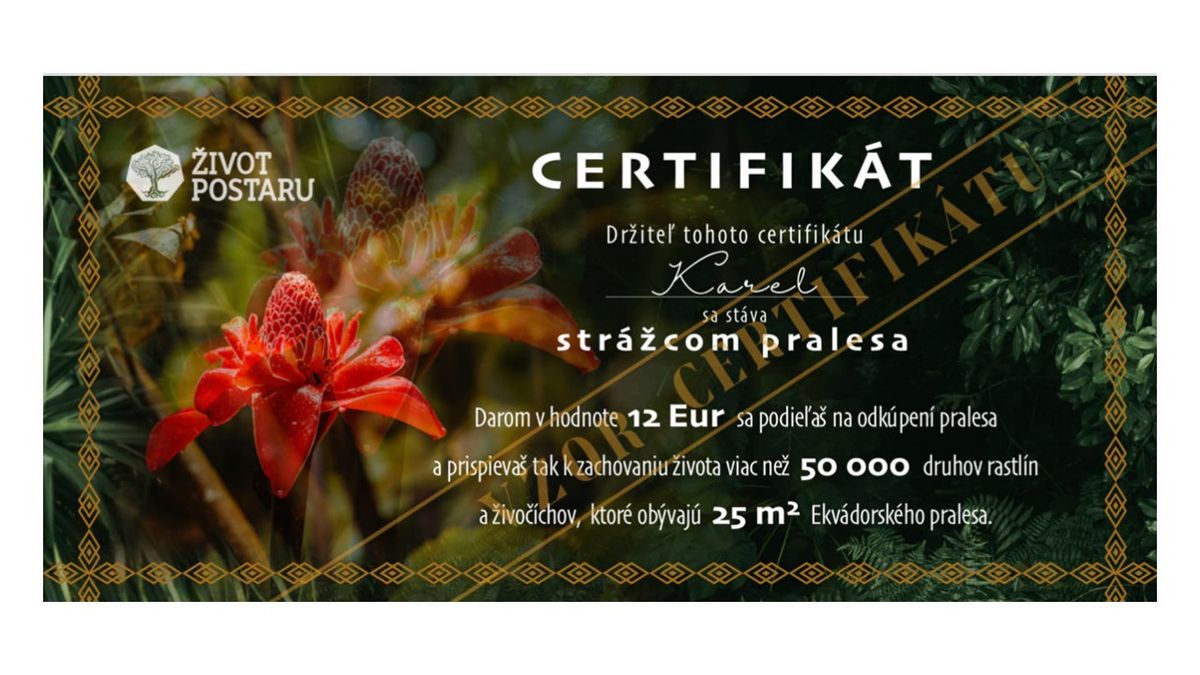 Gift certificate, €12 (Slovak)