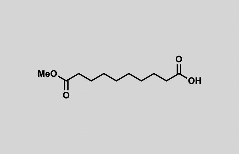Structure of 10-methoxy-10-oxodecanoic acid