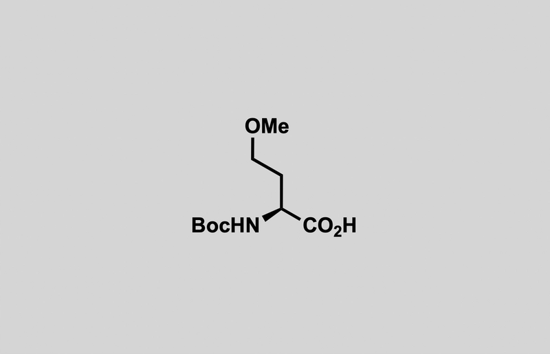Structure of N-(tert-butoxycarbonyl)-O-methyl-L-homoserine
