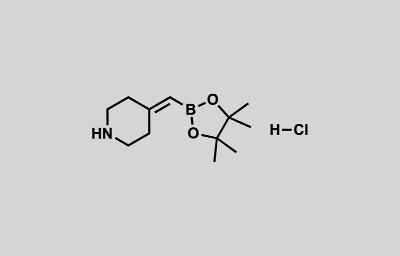 Structure of 4-((4,4,5,5-tetramethyl-1,3,2-dioxaborolan-2-yl)methylene)piperidine hydrochloride