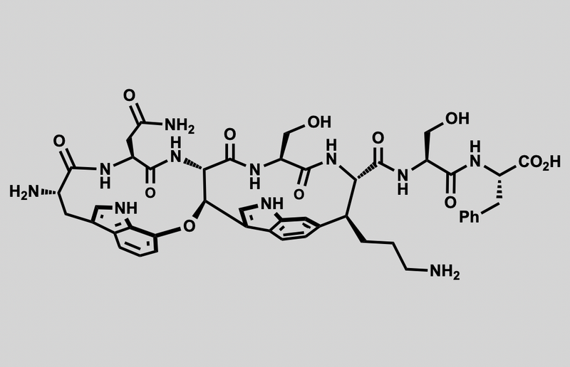 Structure of Darobactin A