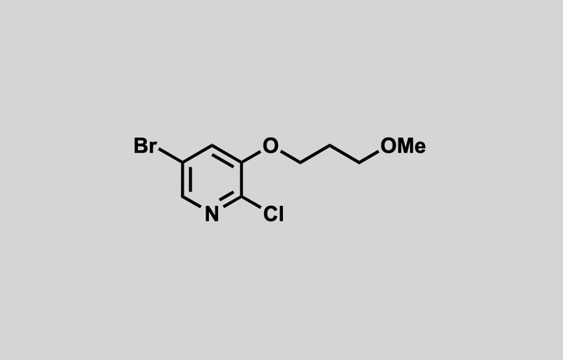 Structure of 5-bromo-2-chloro-3-(3-methoxypropoxy)pyridine