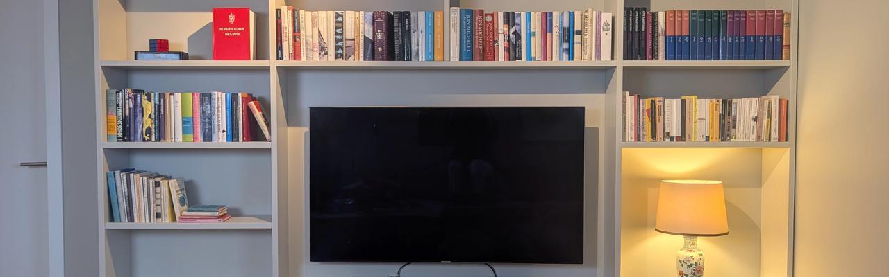 tv-stand-with-bookshelf-adprosjekt