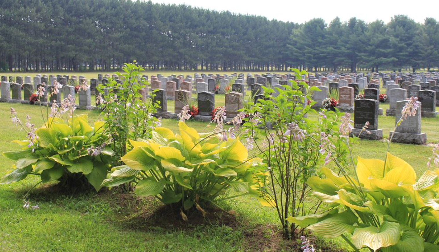 Urne en bois biodégradable, fabrication Québécoise