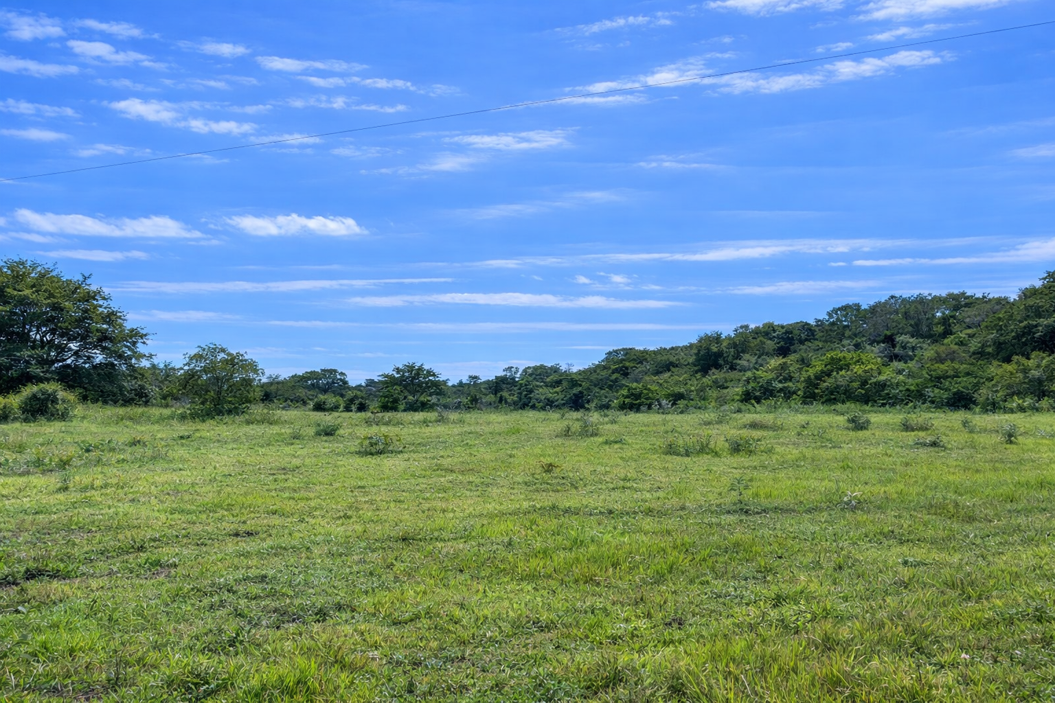 Finca en Vda Campoalegre - Imagen 13