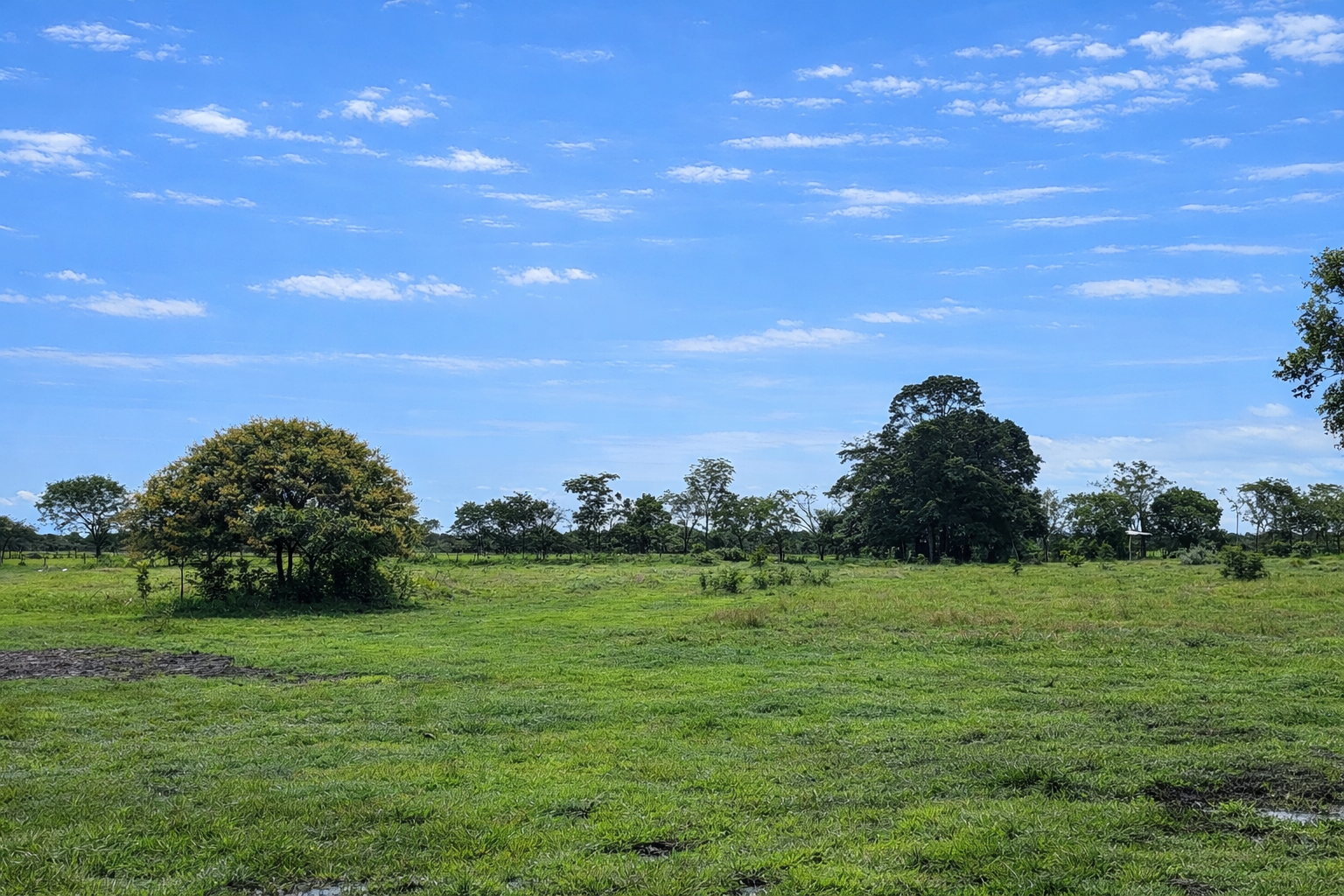 Finca en Vda Campoalegre - Imagen 7