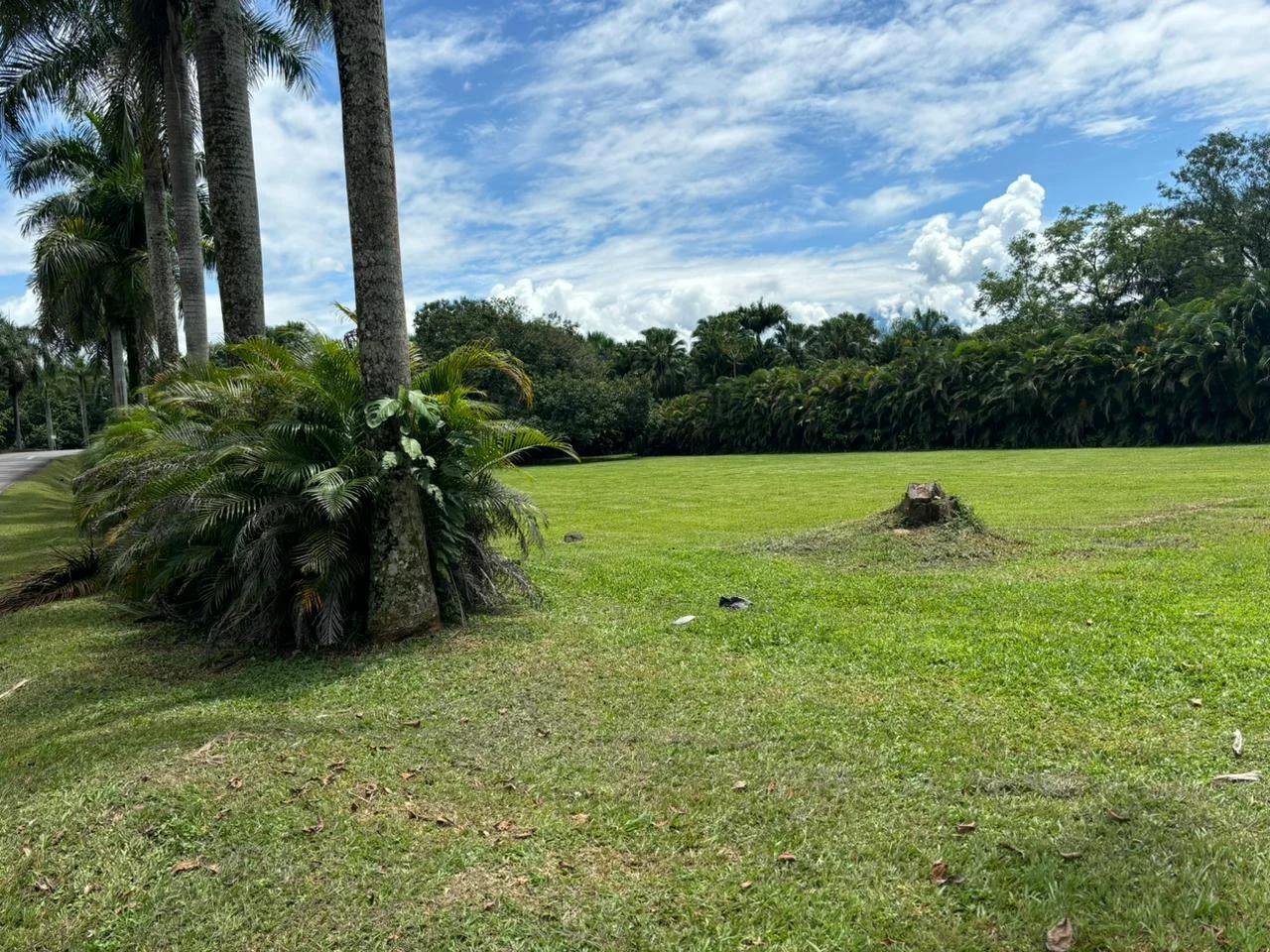 Lote en Hacienda La Primavera - Imagen 4
