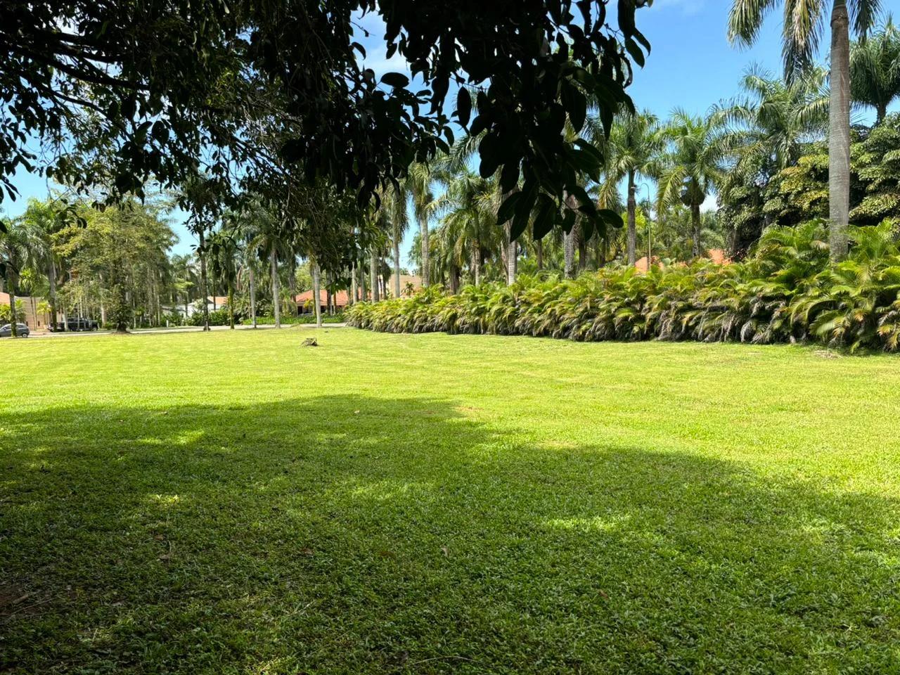 Lote en Hacienda La Primavera - Imagen 6