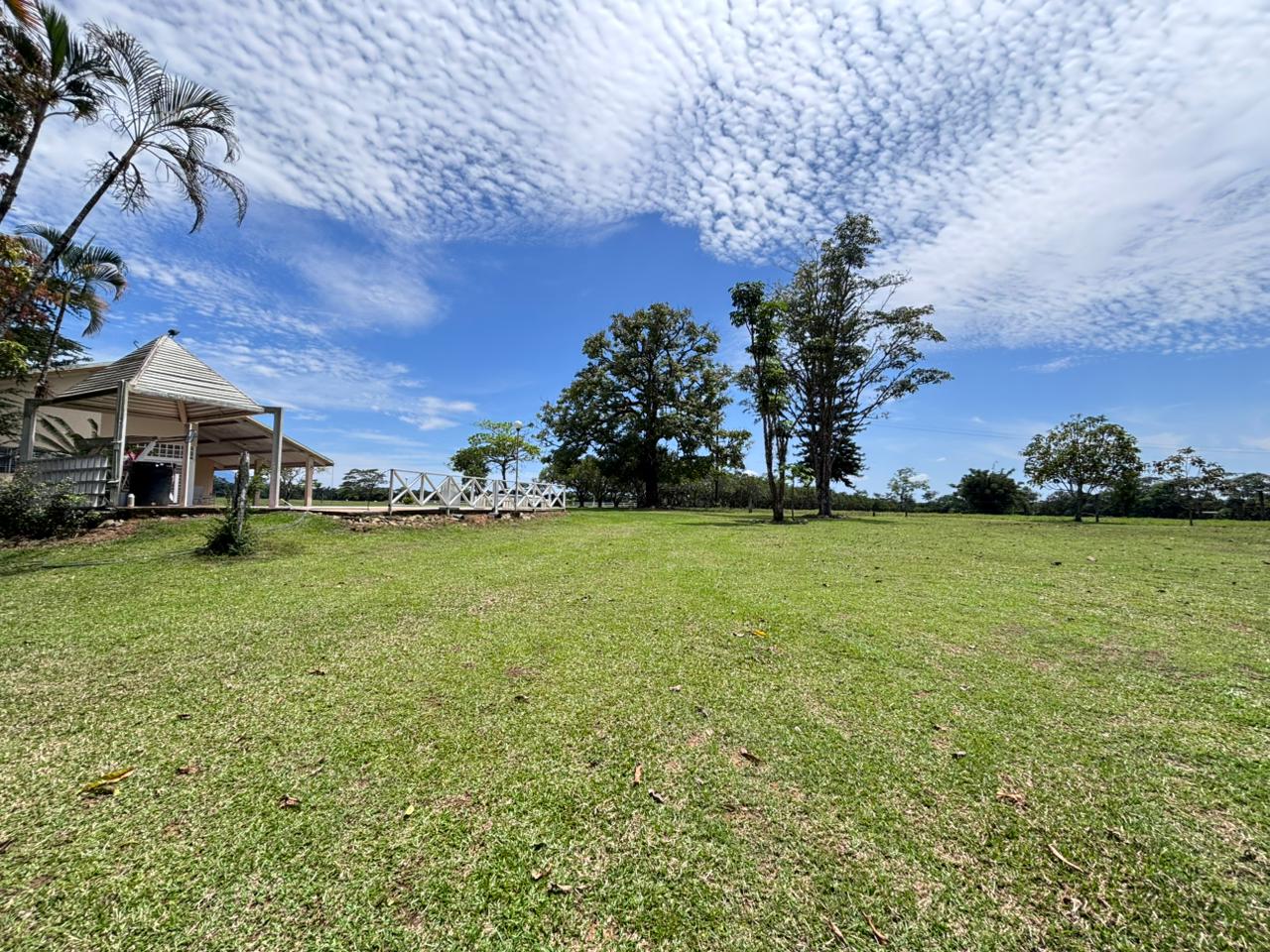 Finca en Vereda Brisas de Upín - Imagen 13