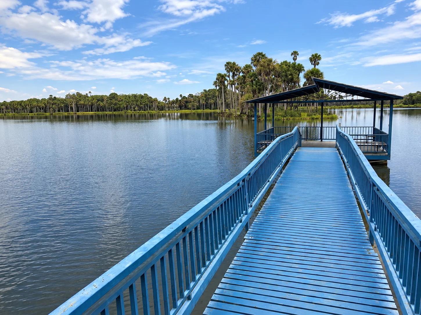 Lote en Condominio Mi Finca en el Llano - Imagen 15