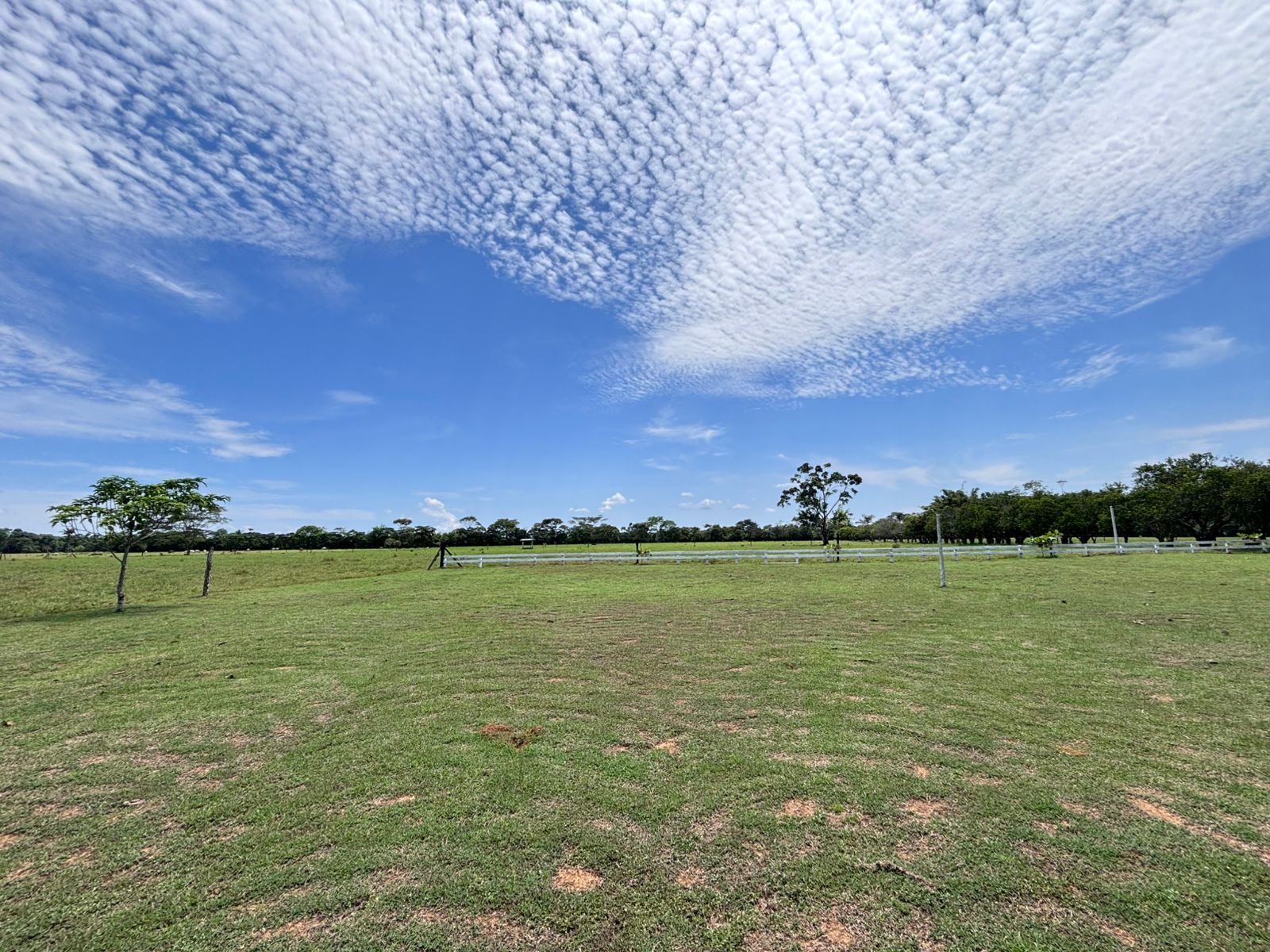 Finca en Vereda Brisas de Upín - Imagen 14