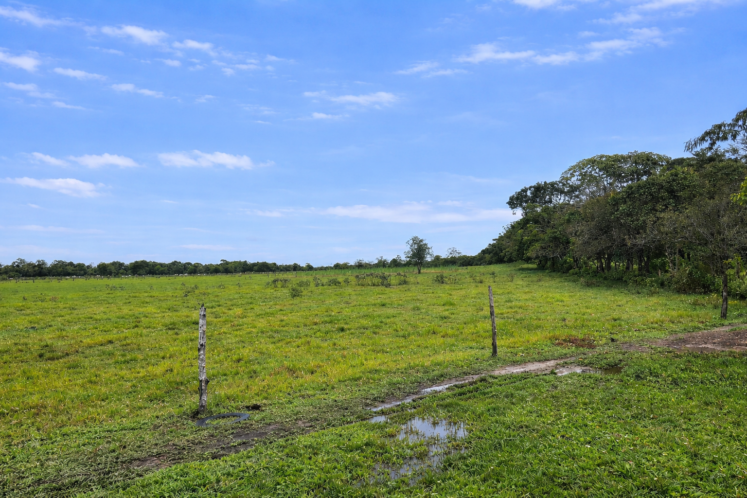Finca en Vda Campoalegre - Imagen 9