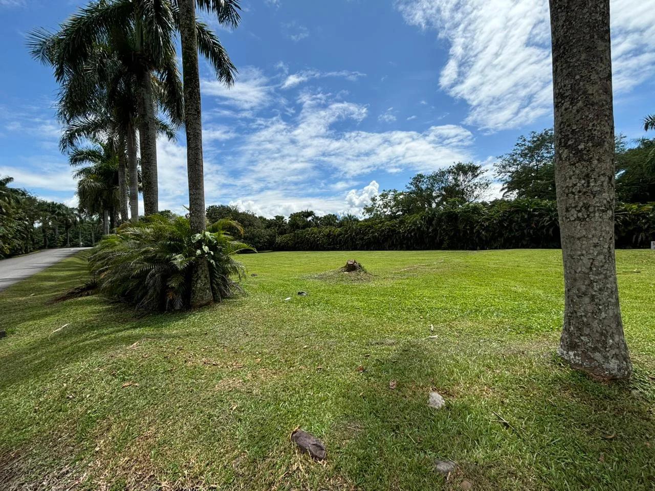 Lote en Hacienda La Primavera - Imagen 5