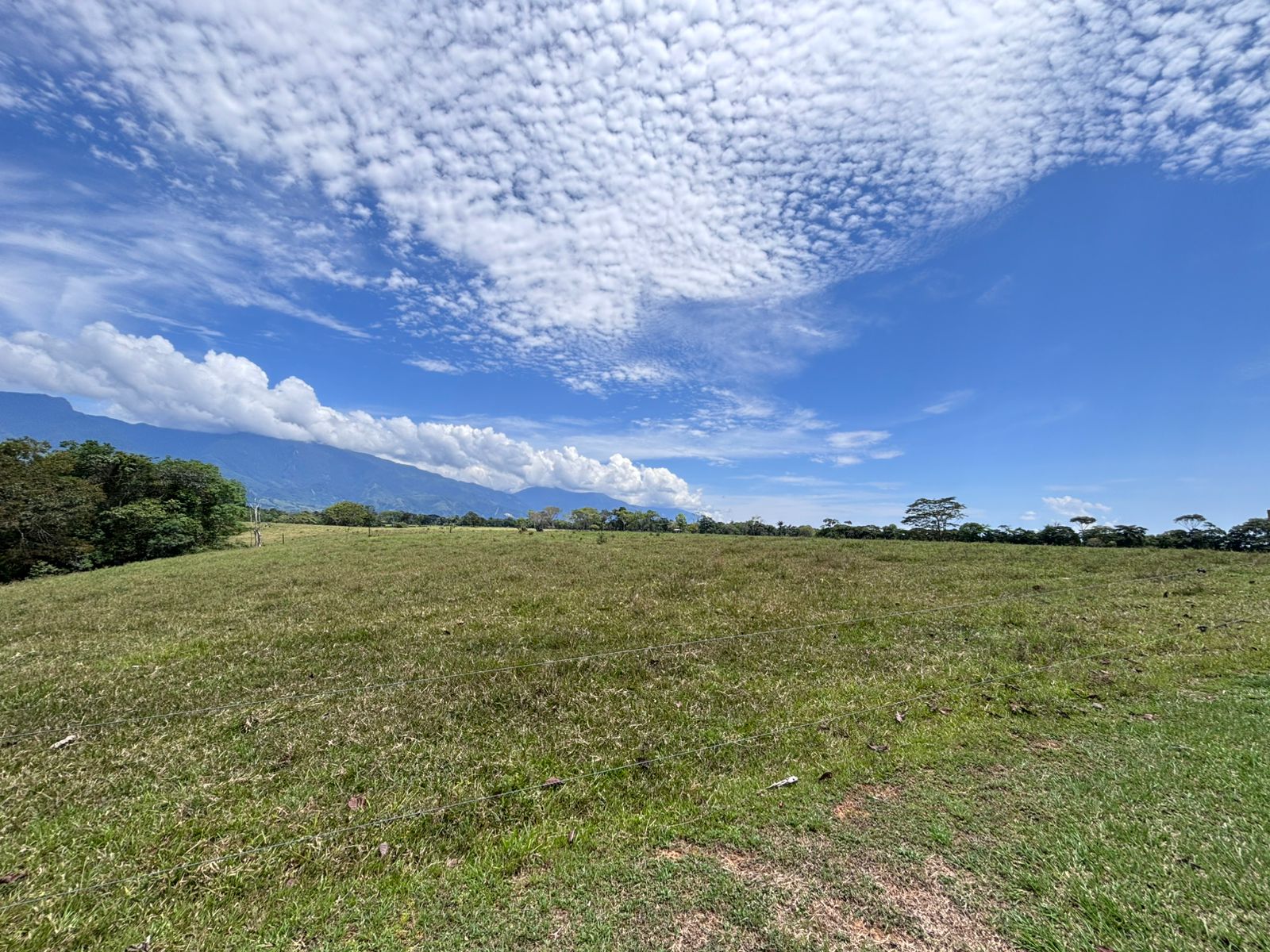 Finca en Vereda Brisas de Upín - Imagen 17