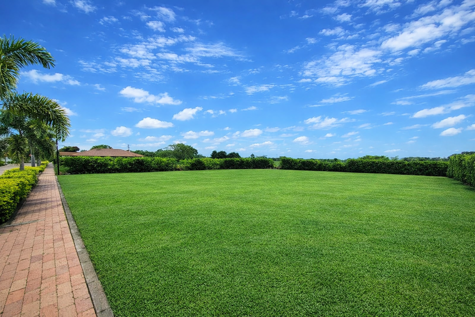 Lote en Condominio Las Palmas - Imagen 3