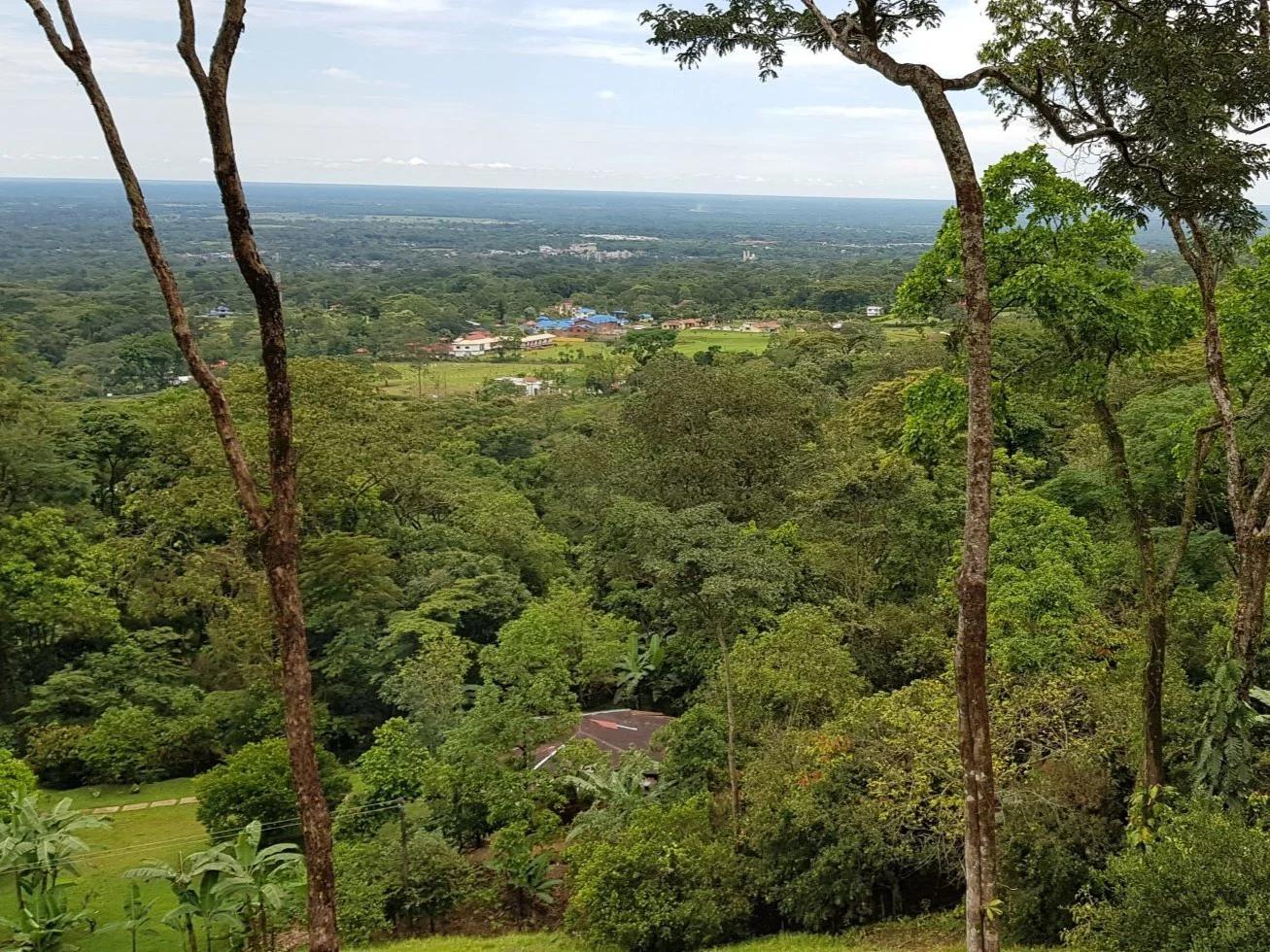 Finca en venta vía Restrepo - Imagen 17