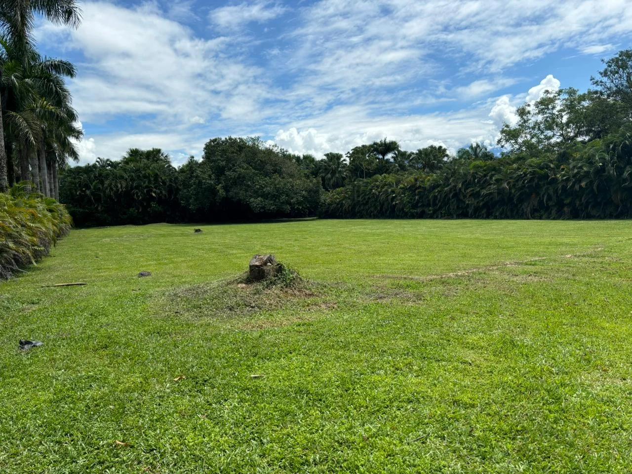 Lote en Hacienda La Primavera - Imagen 2