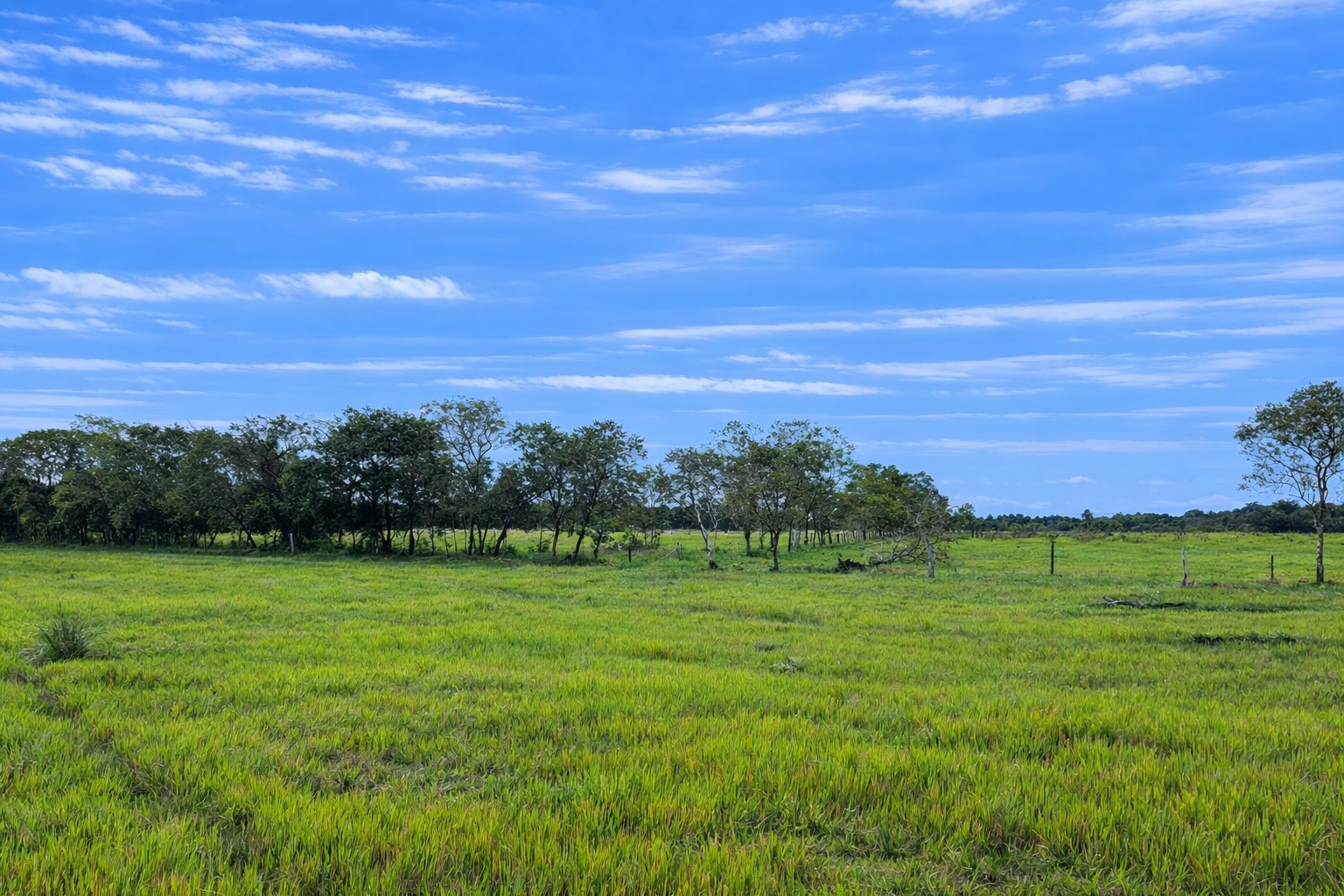 Finca en Vda Campoalegre - Imagen 16
