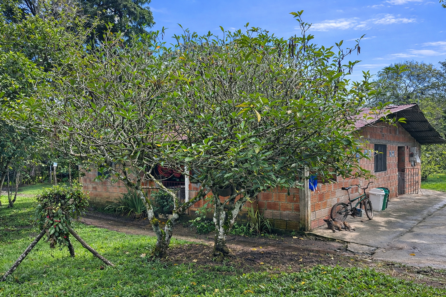 Finca en Vda Campoalegre - Imagen 2